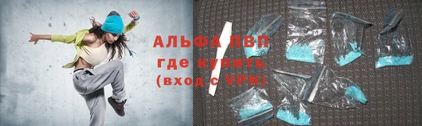 шишки Каменка
