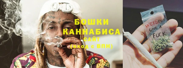 шишки Каменка