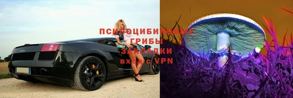 шишки Каменка