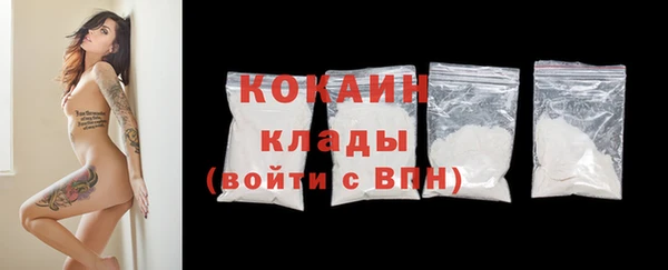 шишки Каменка