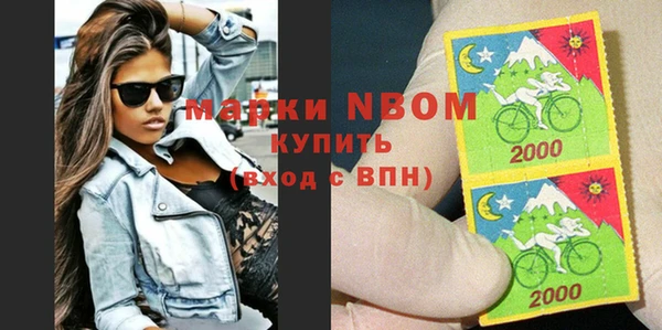 шишки Каменка