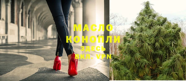 шишки Каменка
