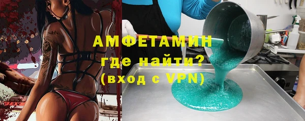 шишки Каменка