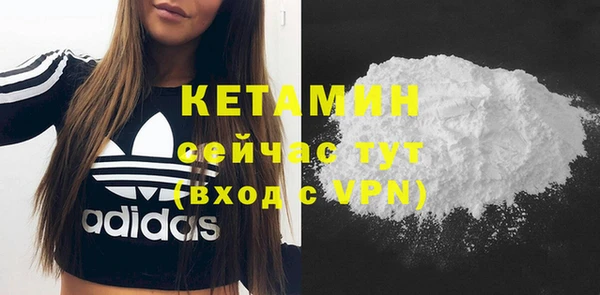 шишки Каменка