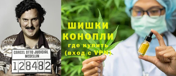 шишки Каменка
