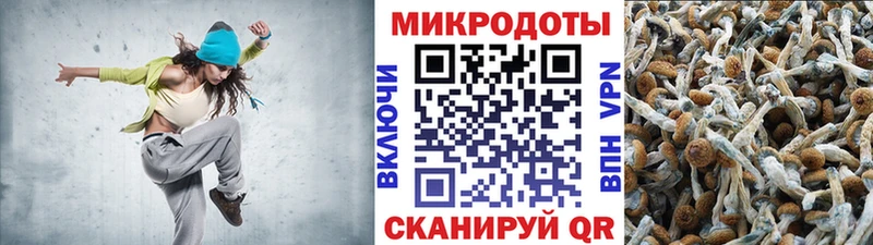 Галлюциногенные грибы GOLDEN TEACHER  Купить  Городище 